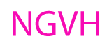 North Georgia Veterans Helping Veterans Ltd. logo